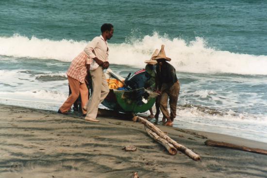 pêcheurs de Martinique