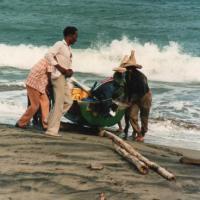 pêcheurs de Martinique