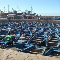 Essaouira : où est ma barque ?