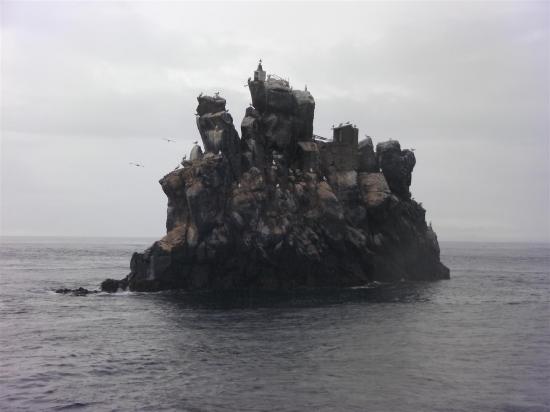 Galapagos : le rocher Dalrymple