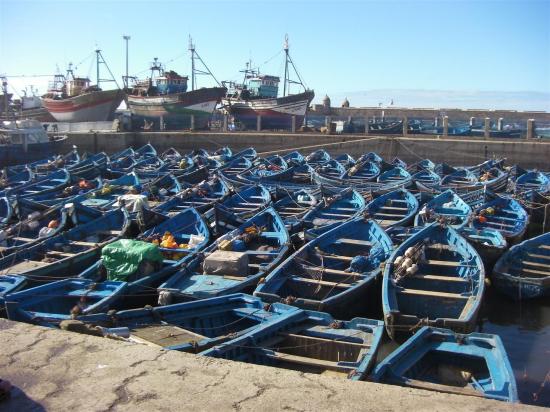 Essaouira : où est ma barque ?
